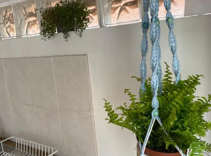 The Boat Shed Auberge de jeunesse Scarborough